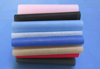 舞钢涤纶（PET）无纺布是什么